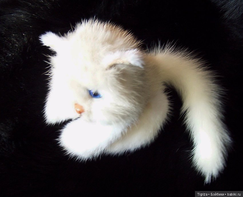 Котенок Лапка — Авторские мишки Тедди и друзья: фото (фото 4)