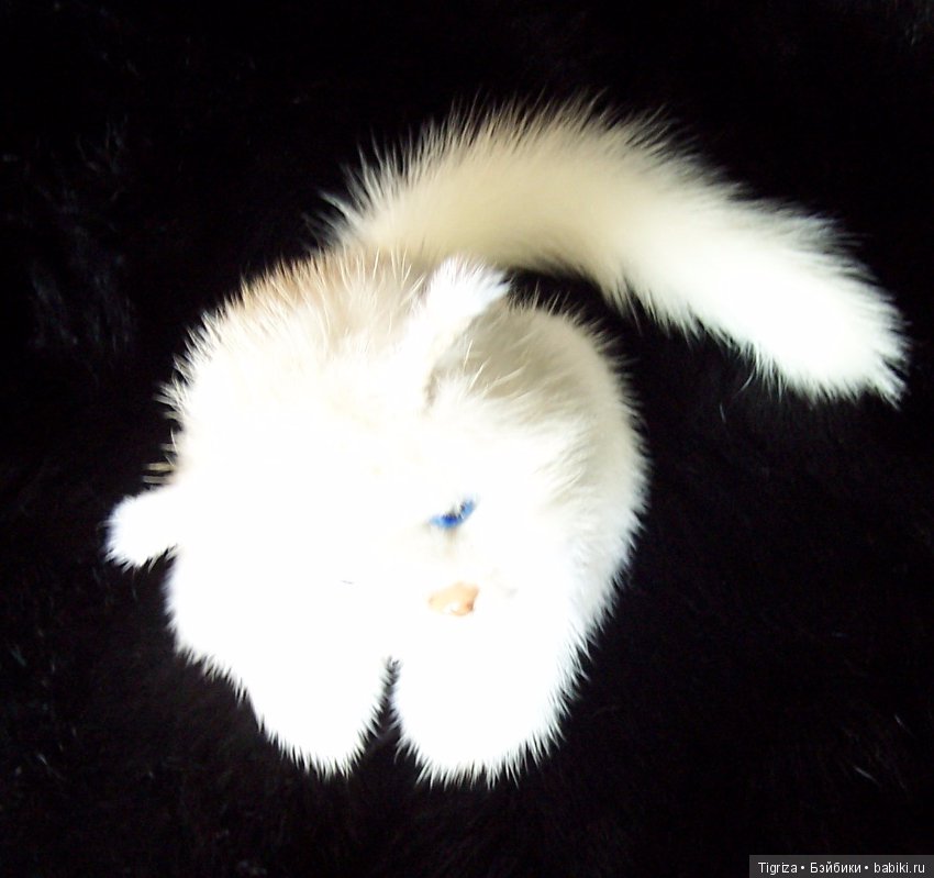 Котенок Лапка — Авторские мишки Тедди и друзья: фото (фото 3)