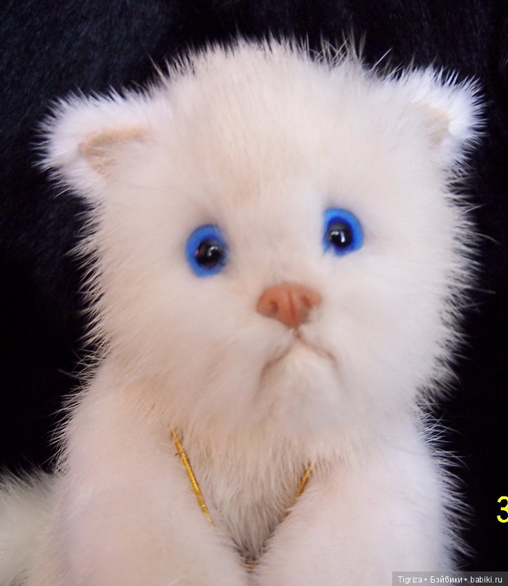 Котенок Лапка — Авторские мишки Тедди и друзья: фото