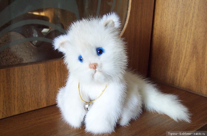 Котенок Лапка — Авторские мишки Тедди и друзья: фото