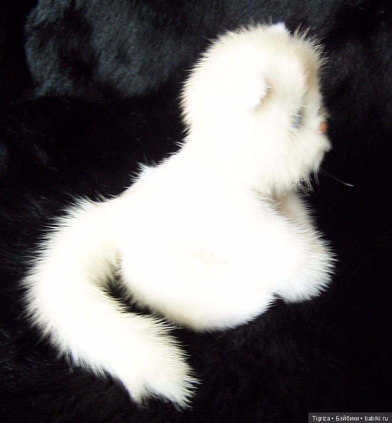 Котенок Лапка — Авторские мишки Тедди и друзья: фото