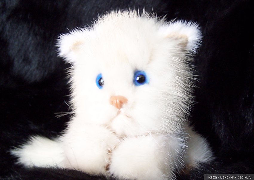 Котенок Лапка — Авторские мишки Тедди и друзья: фото