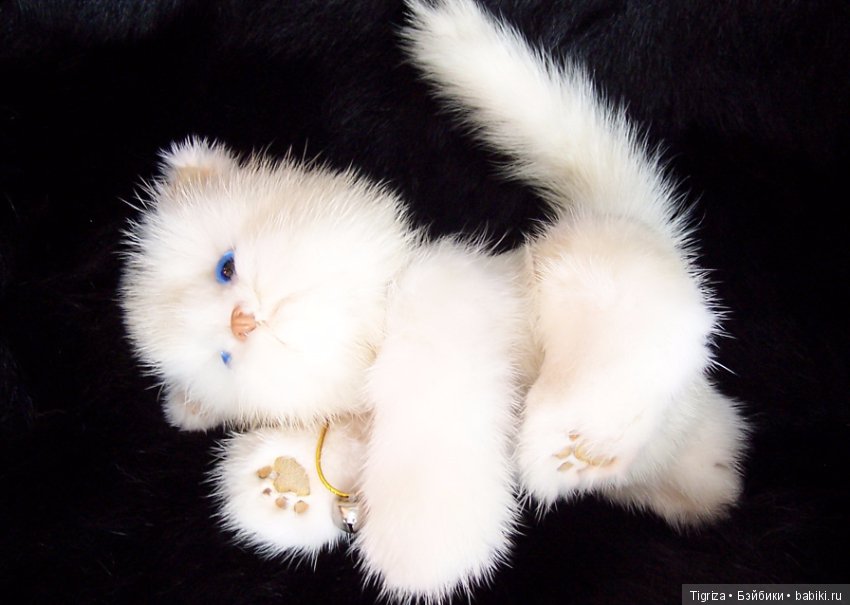 Котенок Лапка — Авторские мишки Тедди и друзья: фото