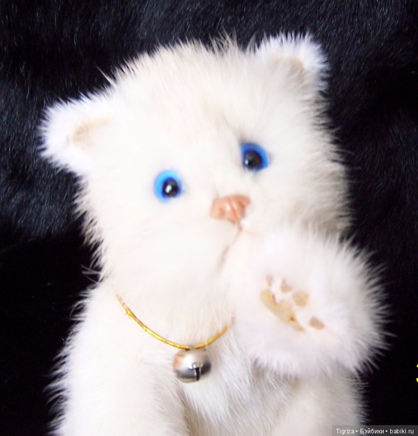 Котенок Лапка — Авторские мишки Тедди и друзья: фото