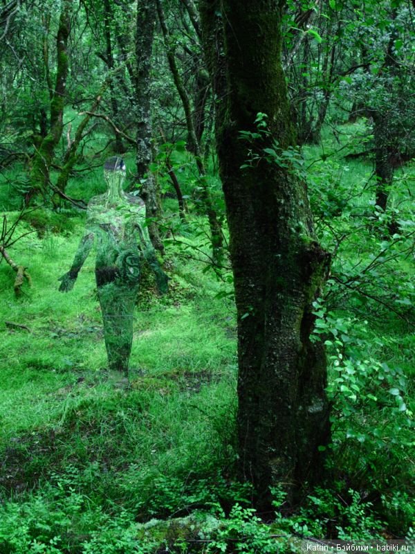 Скульптуры-призраки в шотландском лесу (фото 8)