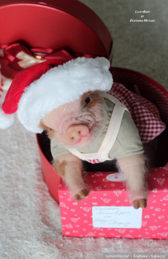 Чудеса существуют, главное в них верить