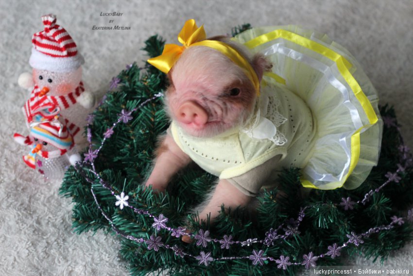 Чудеса существуют, главное в них верить (фото 3)