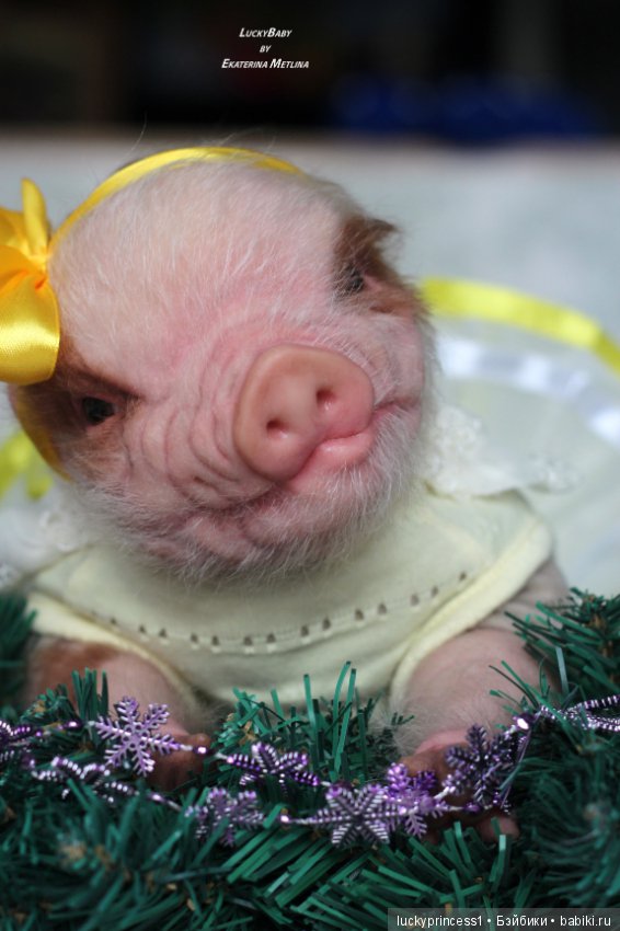 Чудеса существуют, главное в них верить (фото 6)