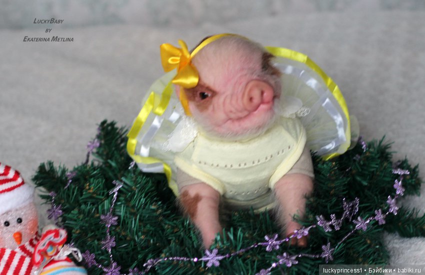 Чудеса существуют, главное в них верить (фото 2)