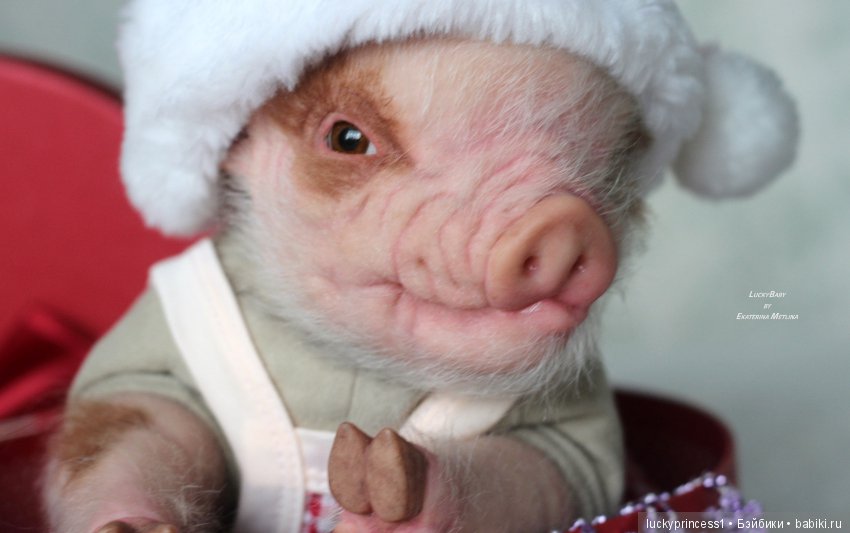 Чудеса существуют, главное в них верить