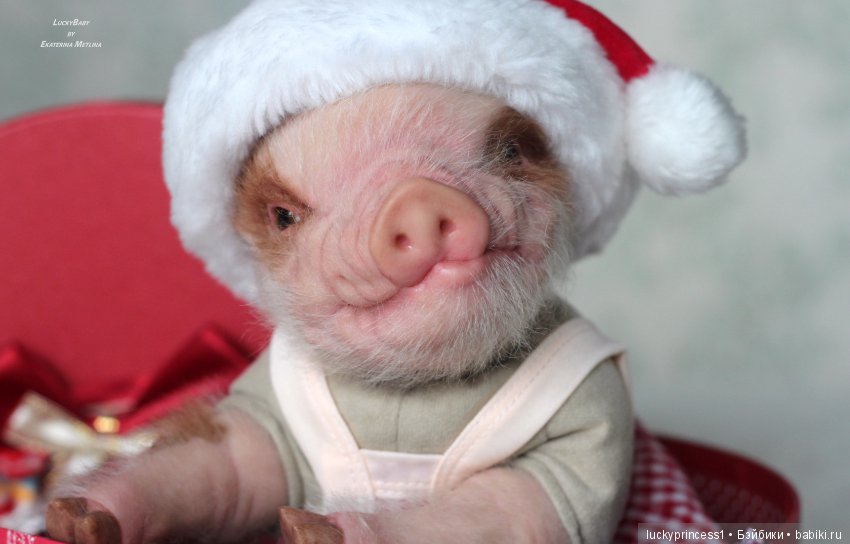 Чудеса существуют, главное в них верить