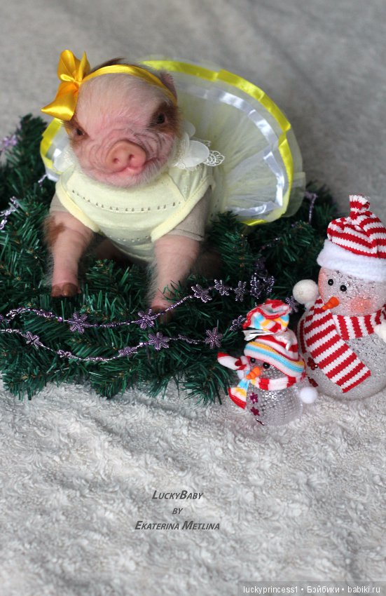 Чудеса существуют, главное в них верить