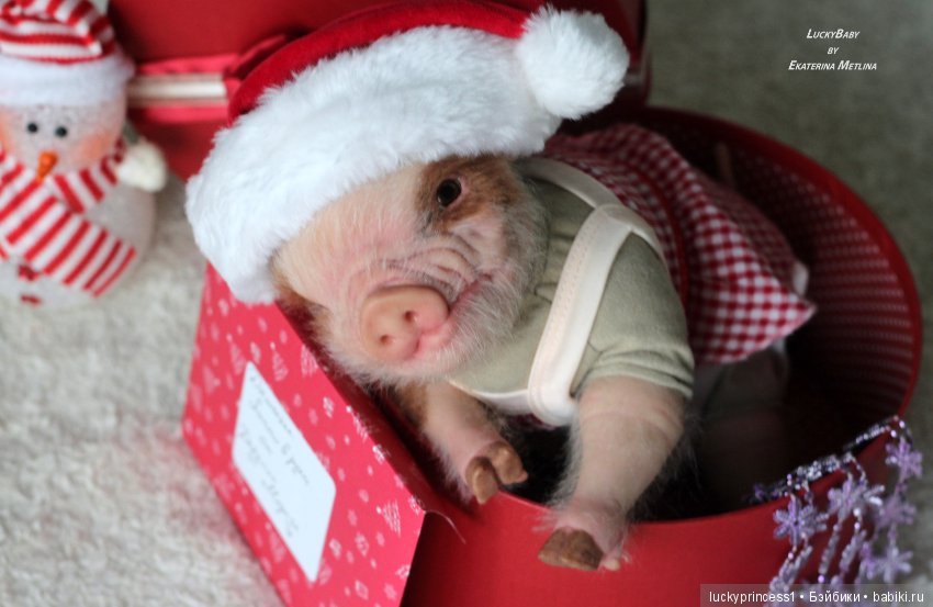 Чудеса существуют, главное в них верить