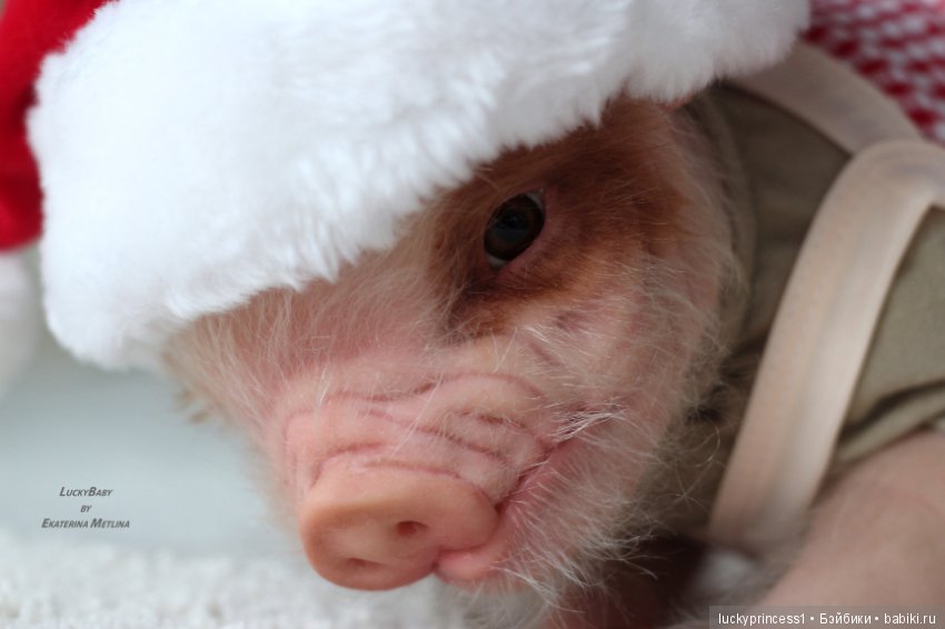 Чудеса существуют, главное в них верить