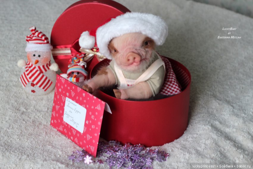 Чудеса существуют, главное в них верить (фото 10)