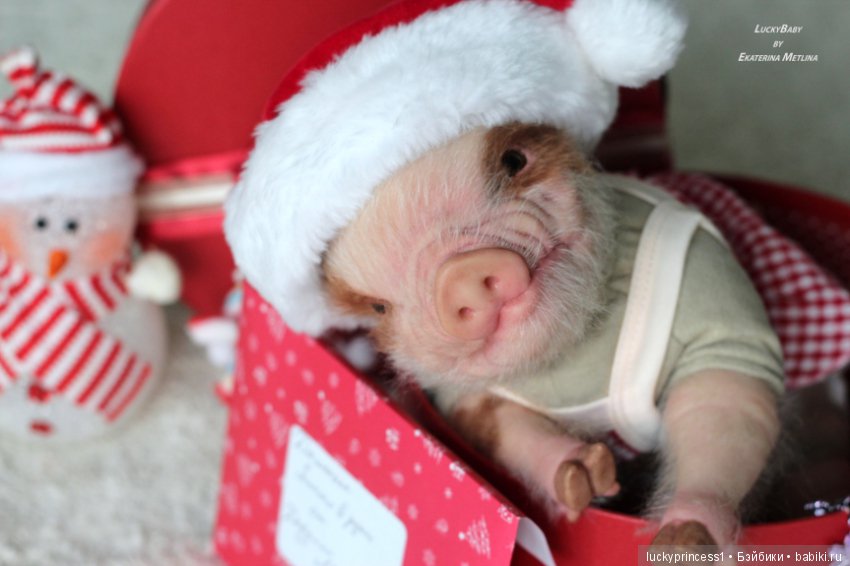 Чудеса существуют, главное в них верить