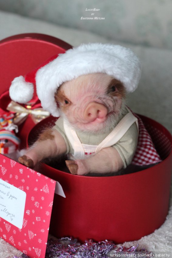 Чудеса существуют, главное в них верить