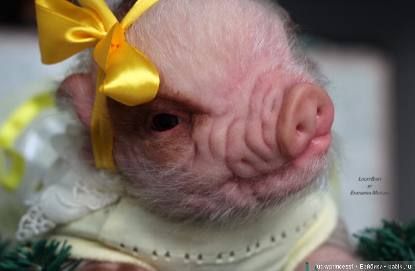 Чудеса существуют, главное в них верить (фото 7)