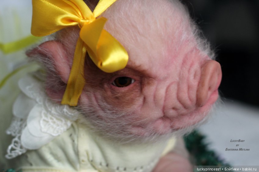 Чудеса существуют, главное в них верить (фото 9)