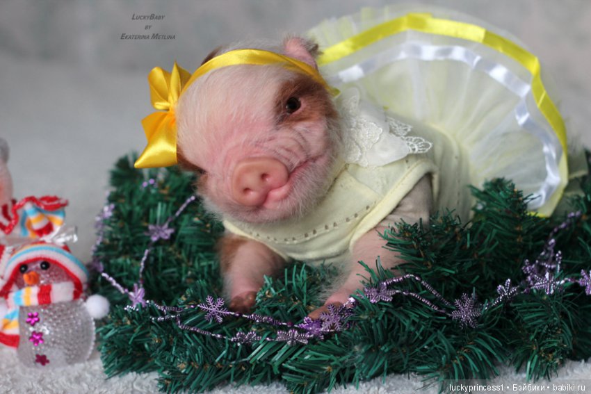 Чудеса существуют, главное в них верить (фото 5)