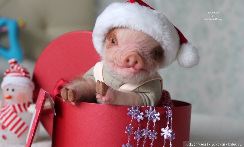 Чудеса существуют, главное в них верить