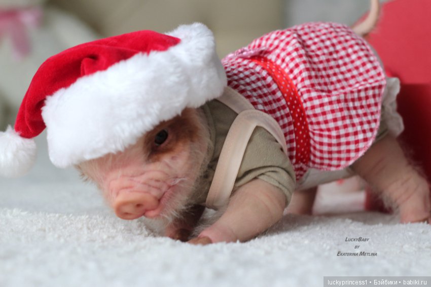 Чудеса существуют, главное в них верить