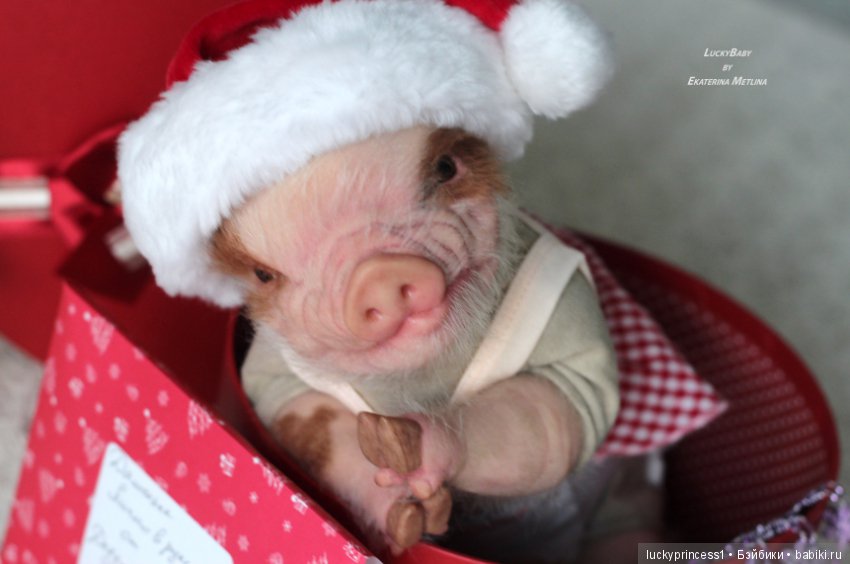 Чудеса существуют, главное в них верить