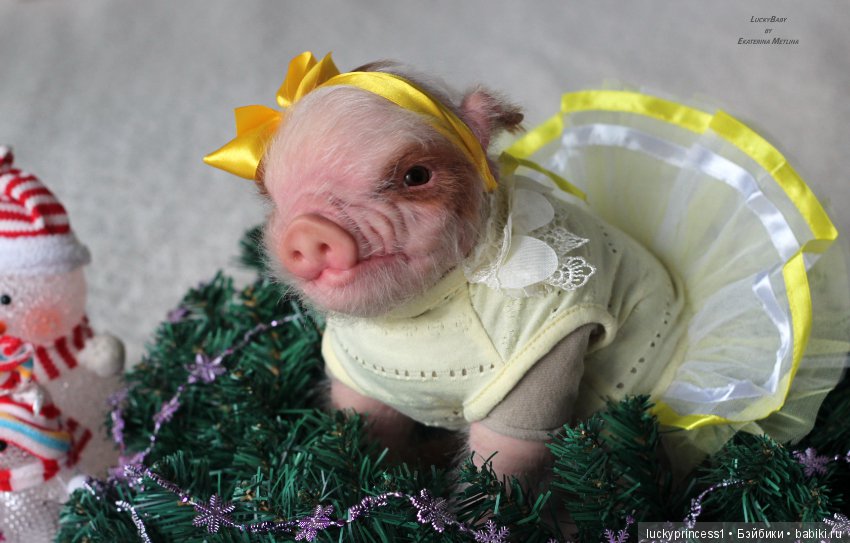 Чудеса существуют, главное в них верить (фото 4)