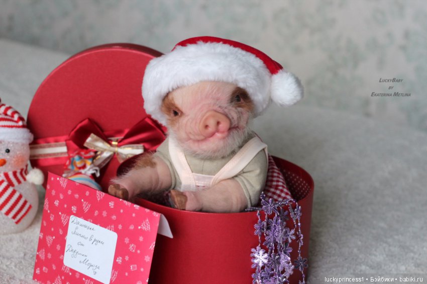 Чудеса существуют, главное в них верить