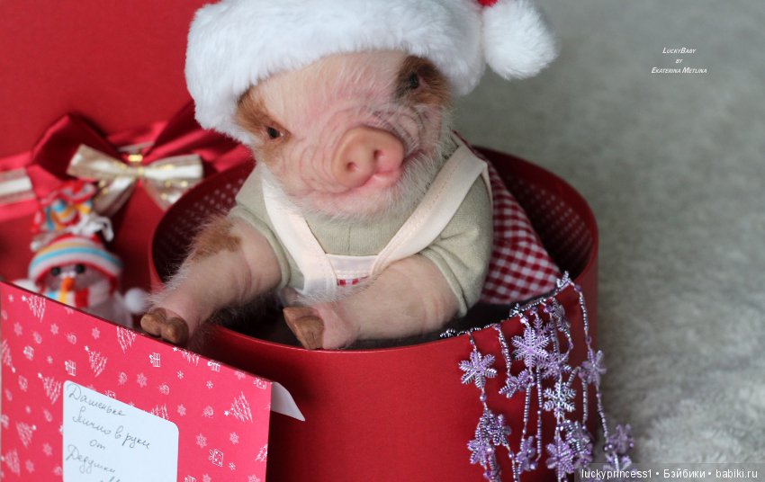 Чудеса существуют, главное в них верить