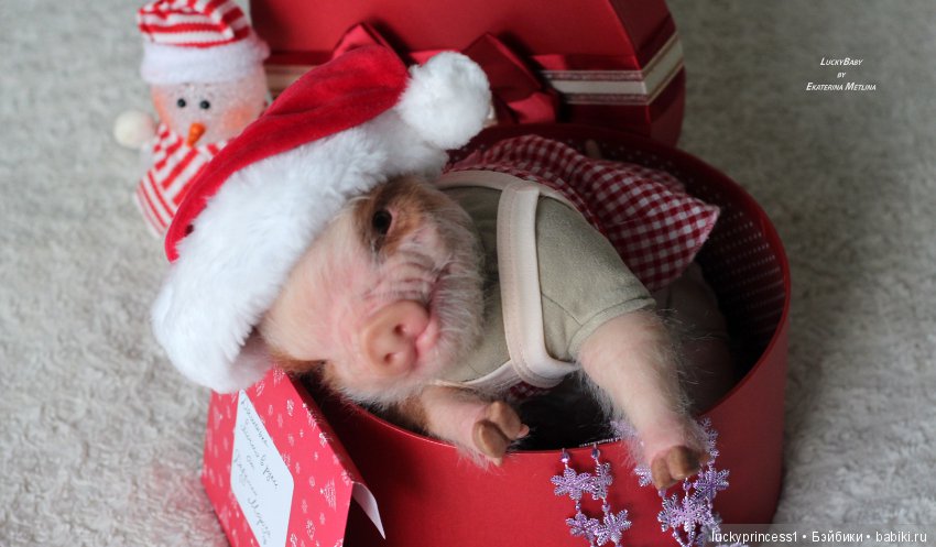 Чудеса существуют, главное в них верить