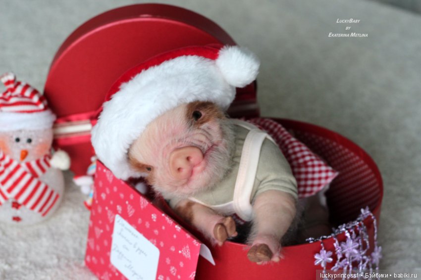 Чудеса существуют, главное в них верить