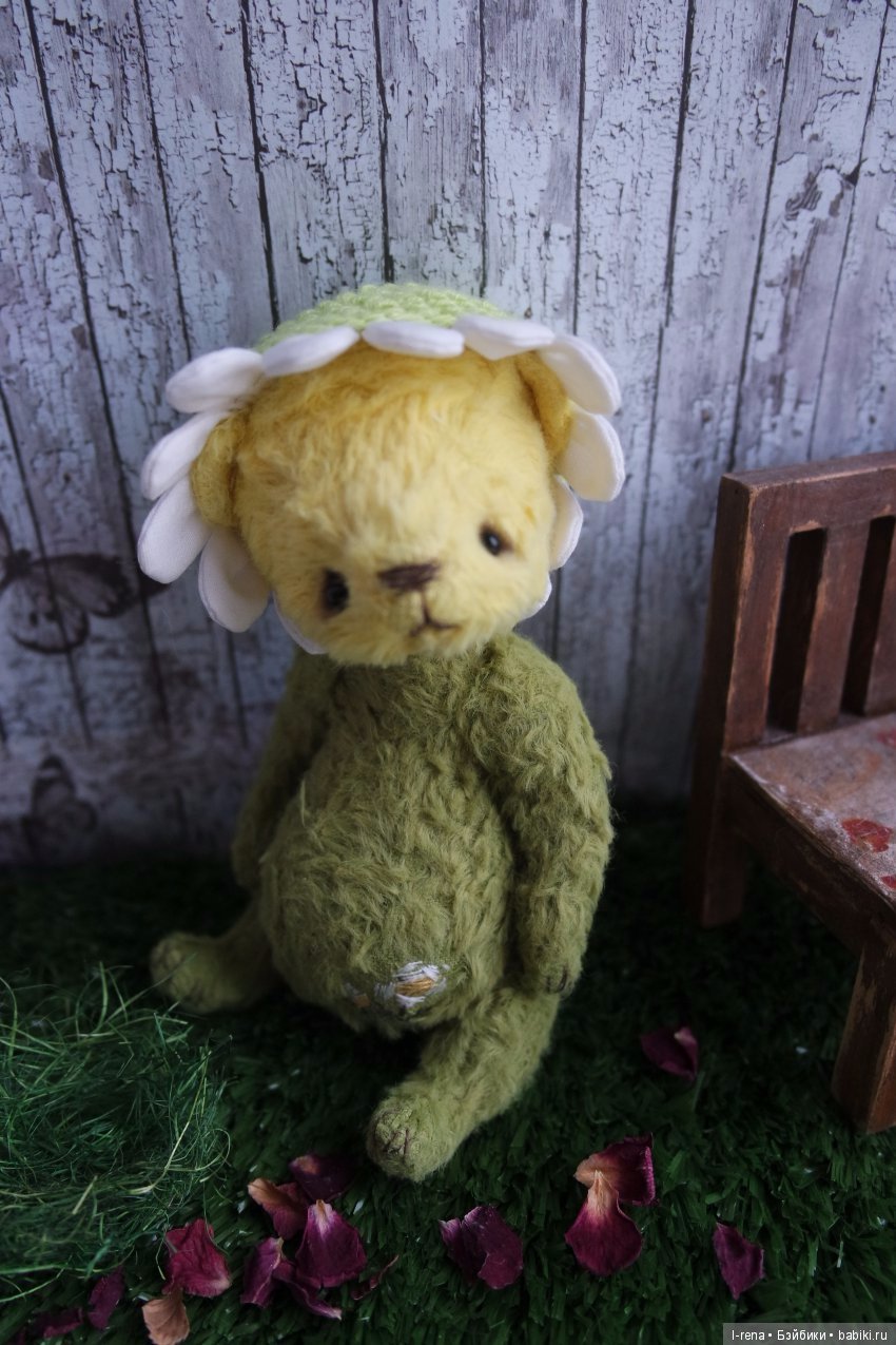 И в январе цветут ромашки