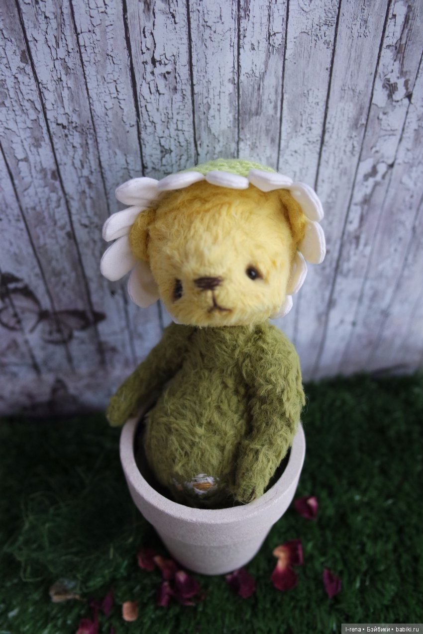 И в январе цветут ромашки (фото 2)