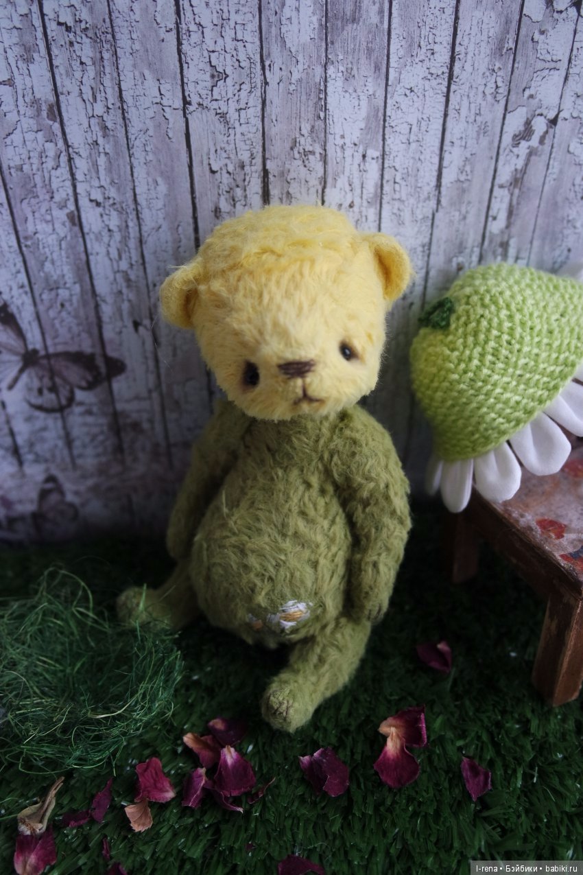 И в январе цветут ромашки (фото 3)