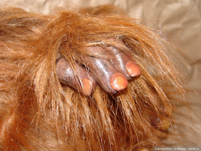 Людо из фильма Лабиринт — Игрушки в смешанной технике (мех и глина): Арт (фото 4)