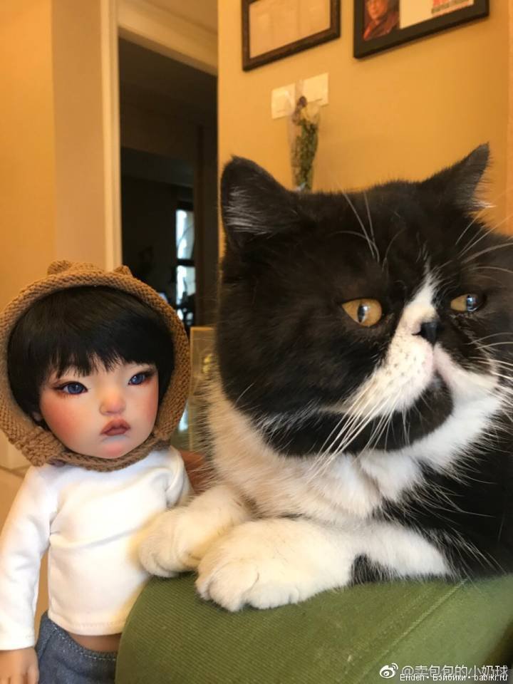 Sunny Moppet предзаказ — Азиатские виниловые куклы (разное): Китай