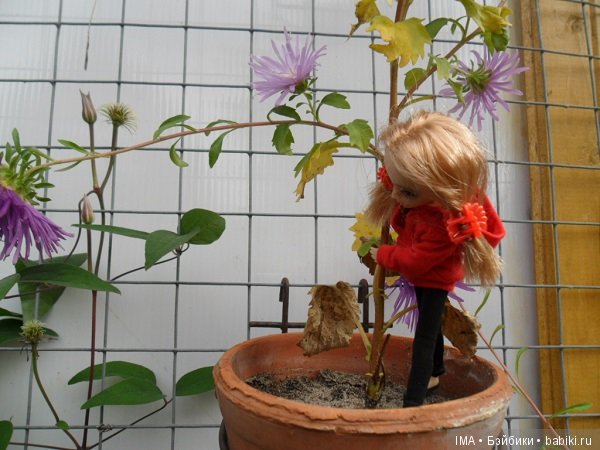 Та, с которой всё началось (фото 10)