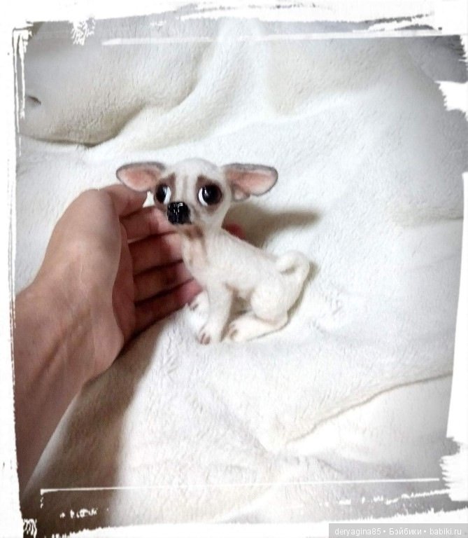 Мини чихуашечка — Валяные игрушки из шерсти: сухое валяние (фото 3)