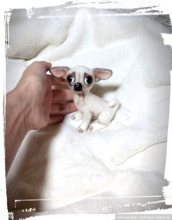 Мини чихуашечка — Валяные игрушки из шерсти: сухое валяние (фото 4)