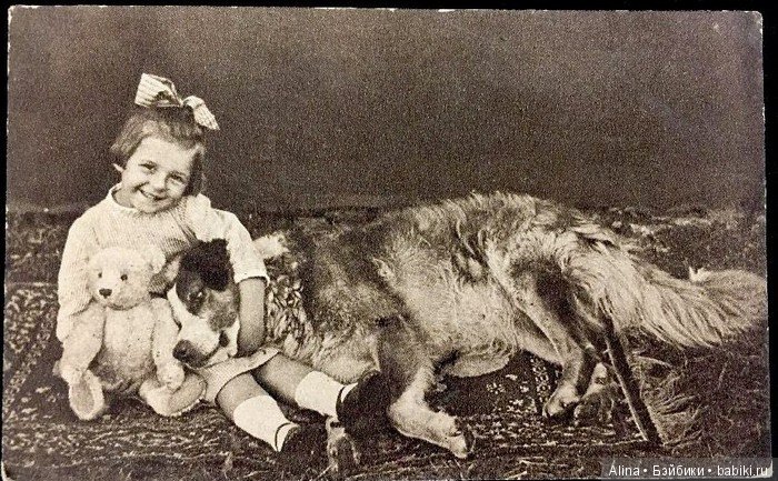 Мишкам все возрасты покорны (фото 3)