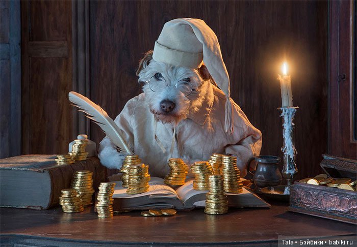 Рождественская традиция: любимая собака "превращается" в других животных (фото 7)