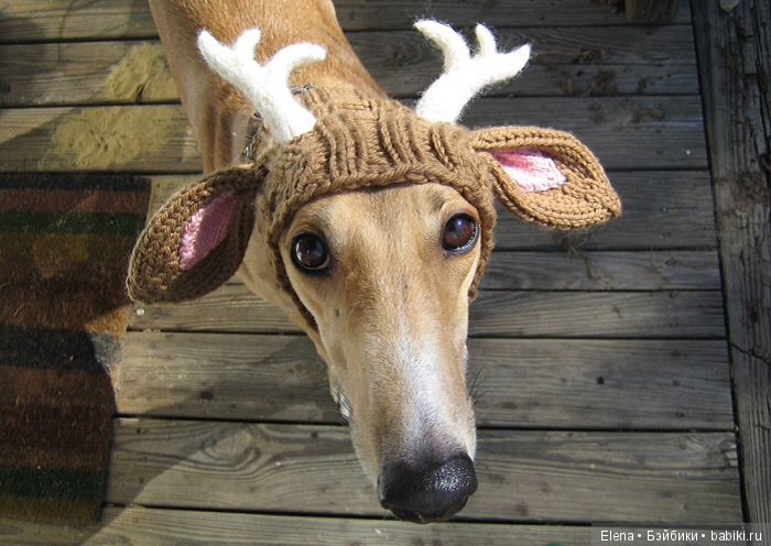 Вязаные шапки на зиму: креативность зашкаливает (фото 5)