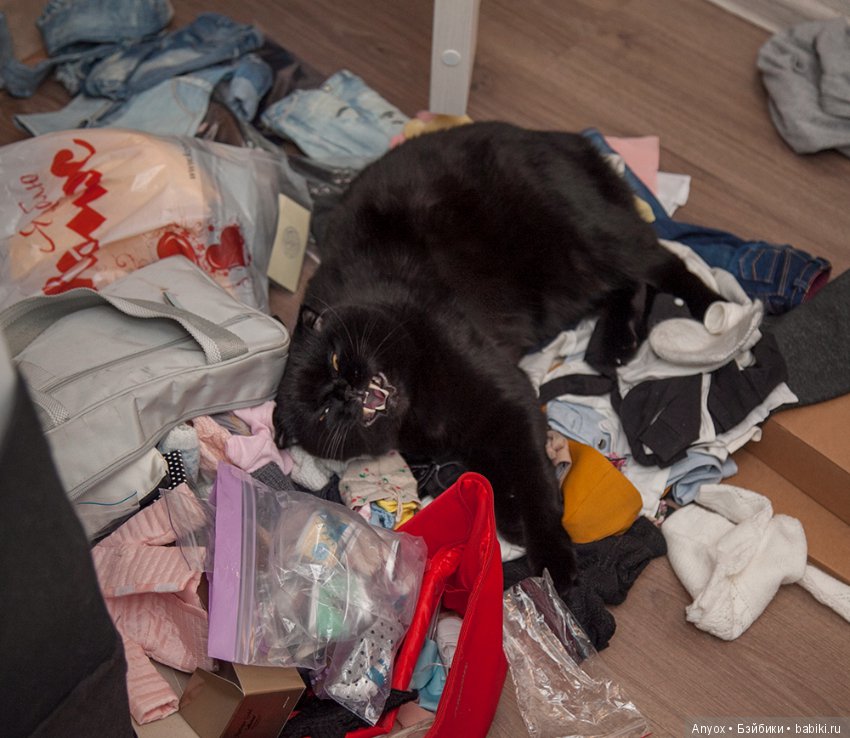 Новогодняя Фотоистория — Куклы Iplehouse (Иплхаус): BJD (БЖД)