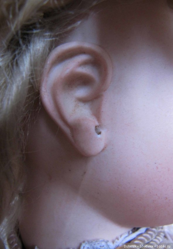 В коллекции пополнение. J.N.Steiner Fre B