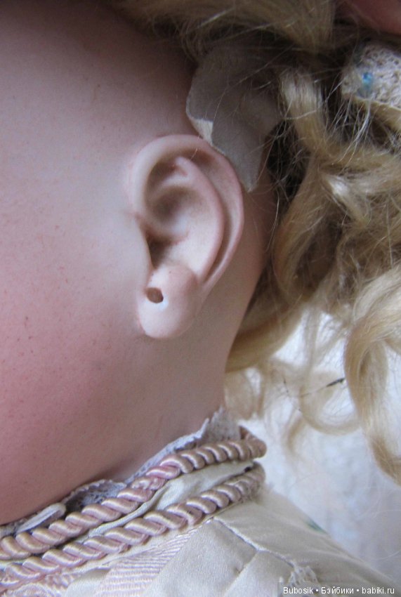 В коллекции пополнение. J.N.Steiner Fre B