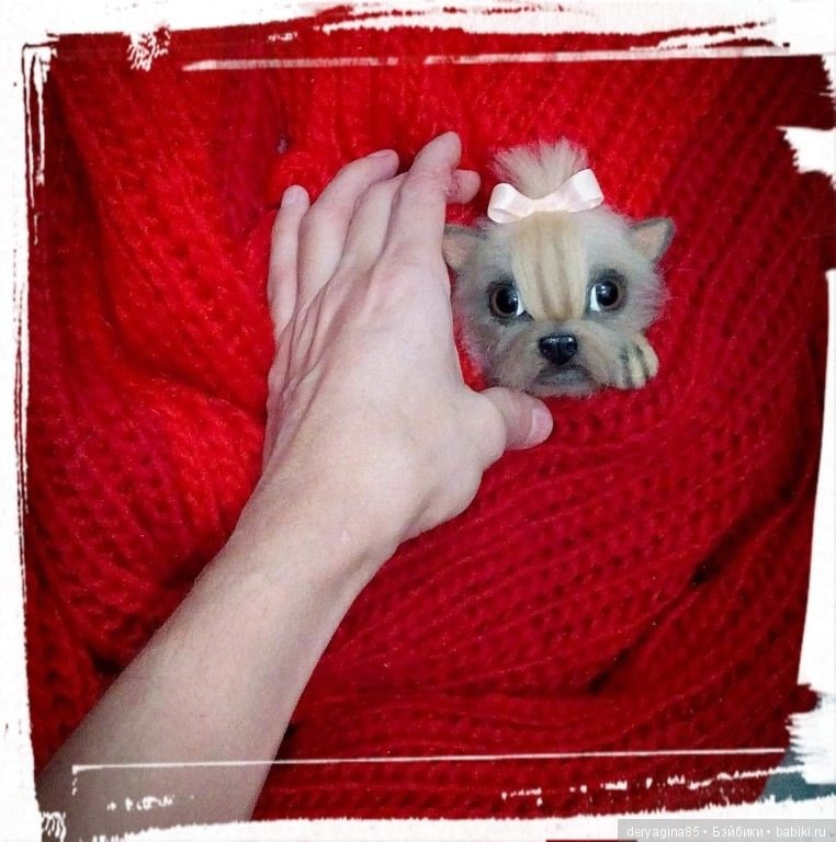 Мои брошечки — Валяные игрушки из шерсти: сухое валяние (фото 2)