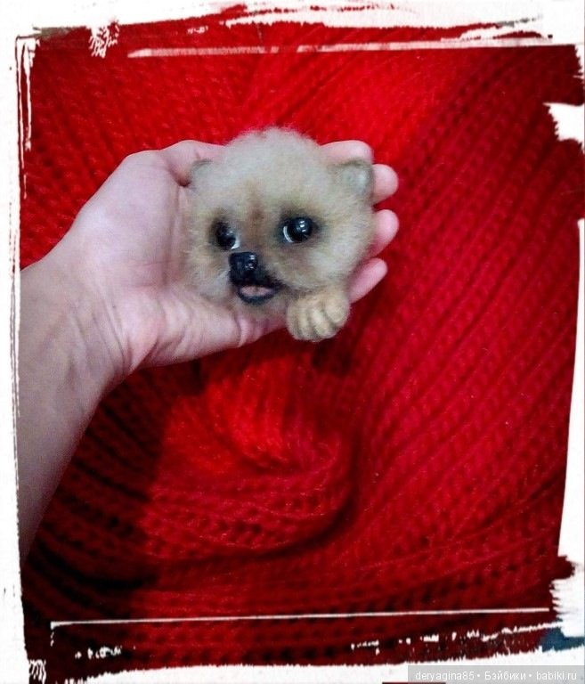 Мои брошечки — Валяные игрушки из шерсти: сухое валяние (фото 8)