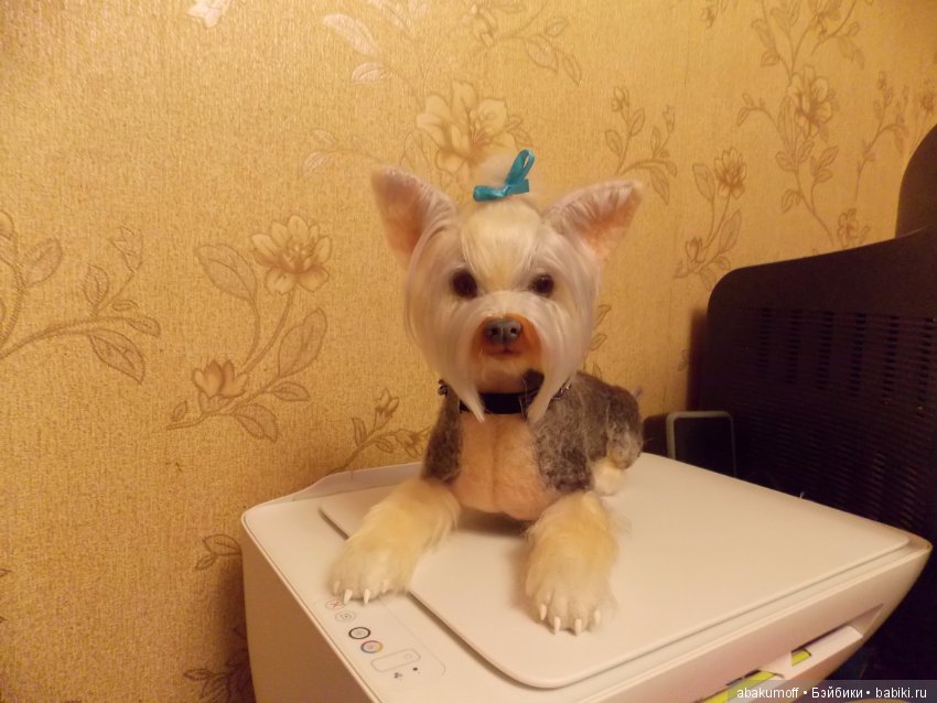 Мой первый опыт по изготовлению йорка