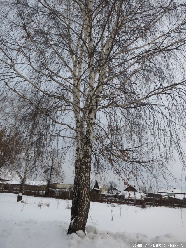 Небольшая прогулка — Антикварные куклы Kestner (Кестнер) JDK: Хильда (фото 2)